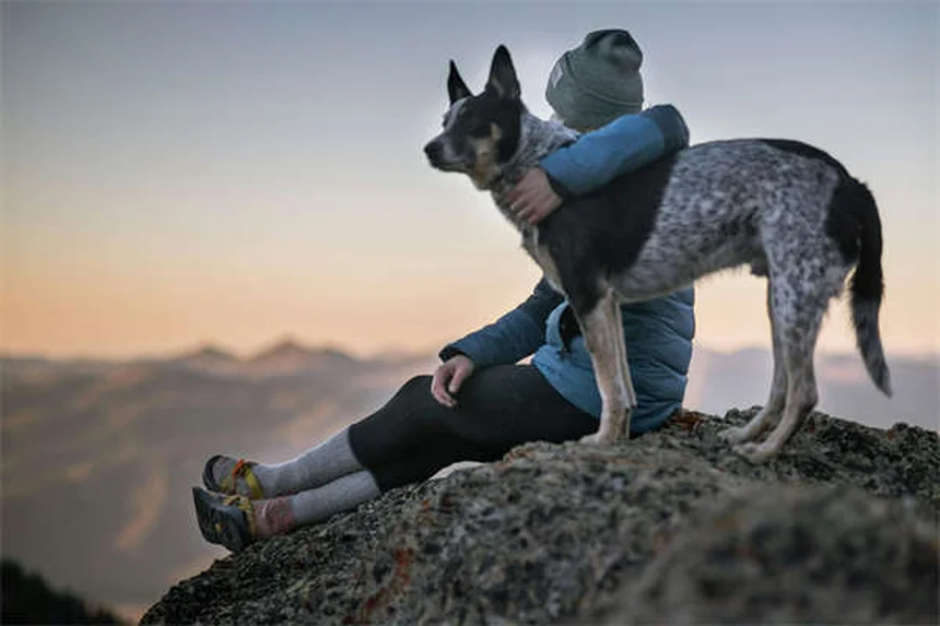 12 Cose che non sapevi sui cuccioli appena nati: curiosità incredibili!